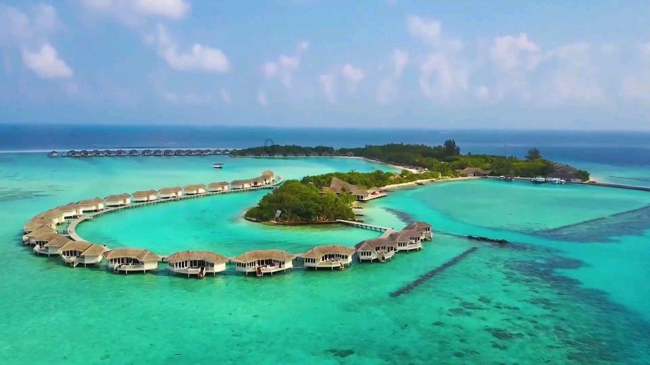 苏联娘们不知秦晋之好什么意思，带着聘礼，给自己心上人提亲去了游戏画面
