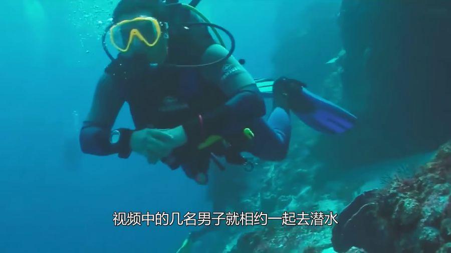 世界上最矮的人——最全面的问答类网站
